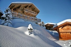 Villa Alpin